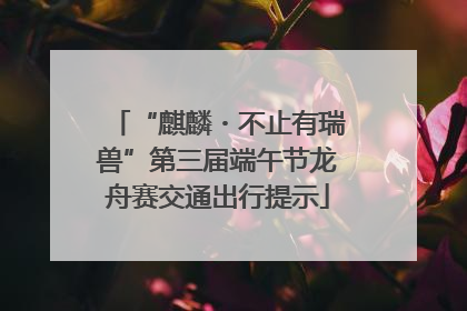 “麒麟・不止有瑞兽”第三届端午节龙舟赛交通出行提示
