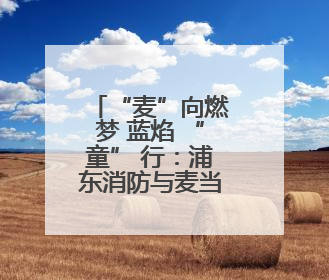 “麦”向燃梦 蓝焰 “童” 行：浦东消防与麦当劳献上儿童节“六一”礼