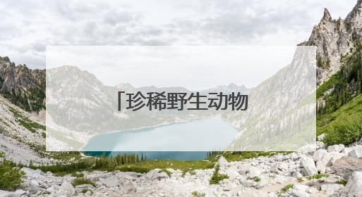 珍稀野生动物不断成为油城“常住民”