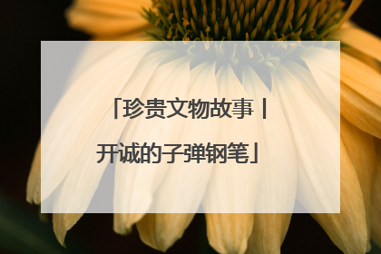 珍贵文物故事丨开诚的子弹钢笔