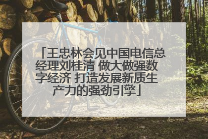 王忠林会见中国电信总经理刘桂清 做大做强数字经济 打造发展新质生产力的强劲引擎