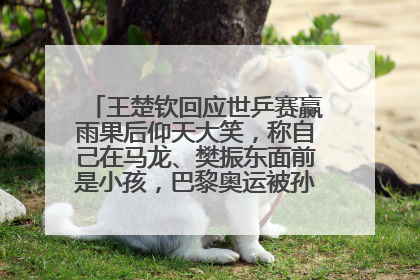 王楚钦回应世乒赛赢雨果后仰天大笑，称自己在马龙、樊振东面前是小孩，巴黎奥运被孙颖莎带着打