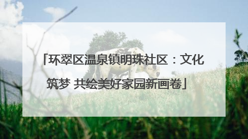 环翠区温泉镇明珠社区：文化筑梦 共绘美好家园新画卷