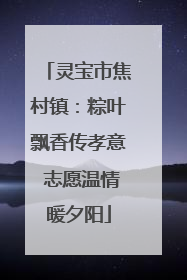 灵宝市焦村镇：粽叶飘香传孝意 志愿温情暖夕阳