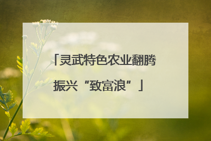 灵武特色农业翻腾振兴“致富浪”