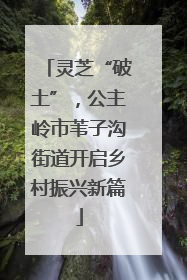 灵芝“破土”，公主岭市苇子沟街道开启乡村振兴新篇