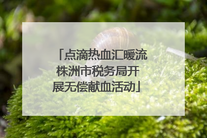 点滴热血汇暖流 株洲市税务局开展无偿献血活动