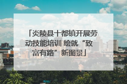 炎陵县十都镇开展劳动技能培训 绘就“致富有路”新图景
