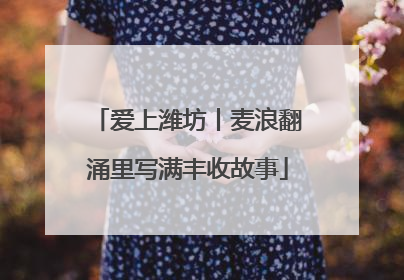 爱上潍坊丨麦浪翻涌里写满丰收故事