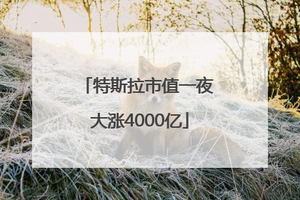 特斯拉市值一夜大涨4000亿