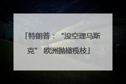 特朗普：“没空理马斯克” 欧洲抛橄榄枝