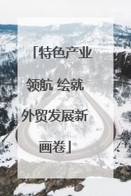 特色产业领航 绘就外贸发展新画卷