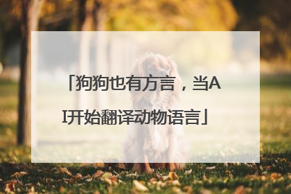 狗狗也有方言，当AI开始翻译动物语言