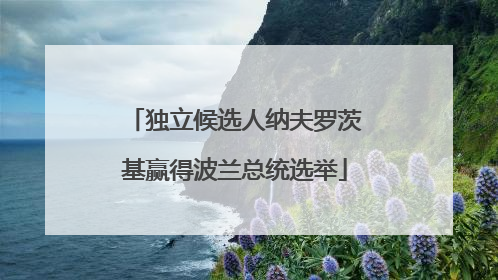 独立候选人纳夫罗茨基赢得波兰总统选举