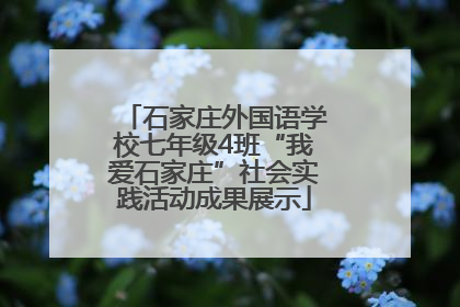 石家庄外国语学校七年级4班“我爱石家庄”社会实践活动成果展示