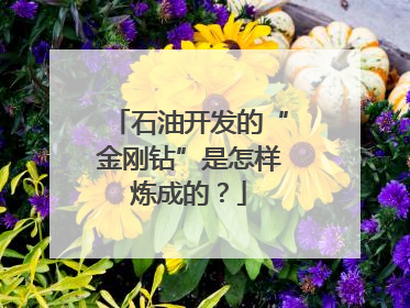 石油开发的“金刚钻”是怎样炼成的？