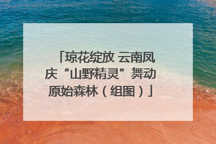 琼花绽放 云南凤庆“山野精灵”舞动原始森林（组图）