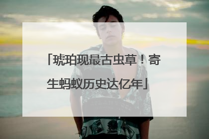 琥珀现最古虫草！寄生蚂蚁历史达亿年
