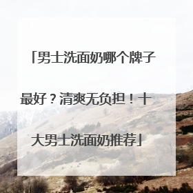 男士洗面奶哪个牌子最好？清爽无负担！十大男士洗面奶推荐