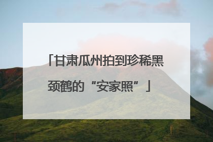甘肃瓜州拍到珍稀黑颈鹤的“安家照”