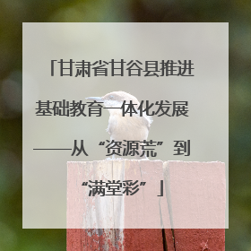甘肃省甘谷县推进基础教育一体化发展——从“资源荒”到“满堂彩”