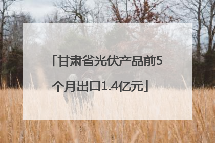 甘肃省光伏产品前5个月出口1.4亿元