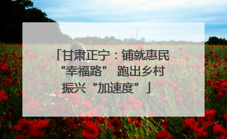甘肃正宁：铺就惠民“幸福路” 跑出乡村振兴“加速度”