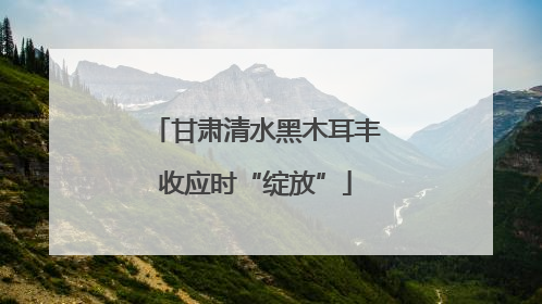 甘肃清水黑木耳丰收应时“绽放”