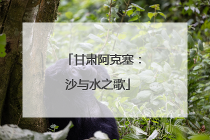 甘肃阿克塞：沙与水之歌