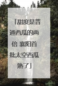 甜度是普通西瓜的两倍 襄阳首批太空西瓜熟了