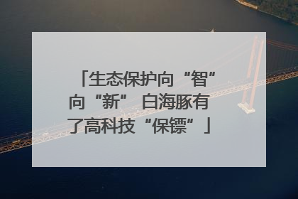 生态保护向“智”向“新” 白海豚有了高科技“保镖”