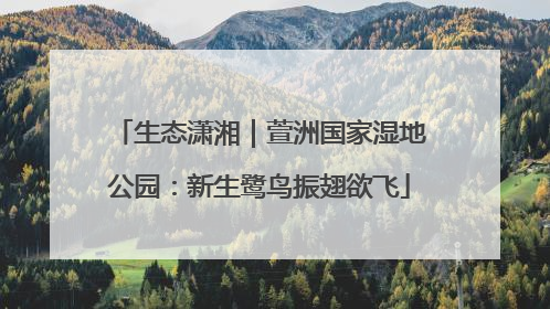 生态潇湘｜萱洲国家湿地公园：新生鹭鸟振翅欲飞