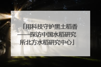 用科技守护黑土稻香——探访中国水稻研究所北方水稻研究中心