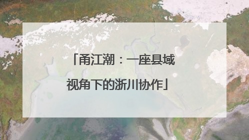 甬江潮：一座县域视角下的浙川协作