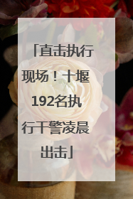 直击执行现场！十堰192名执行干警凌晨出击