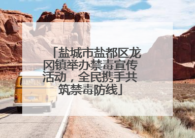 盐城市盐都区龙冈镇举办禁毒宣传活动，全民携手共筑禁毒防线