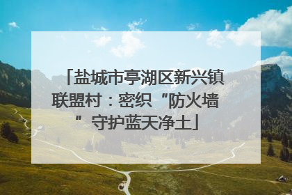 盐城市亭湖区新兴镇联盟村：密织“防火墙”守护蓝天净土