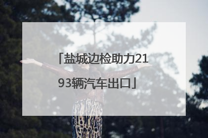 盐城边检助力2193辆汽车出口