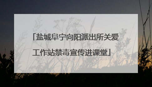 盐城阜宁向阳派出所关爱工作站禁毒宣传进课堂