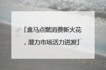 盒马点燃消费新火花，潜力市场活力迸发