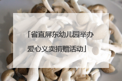 省直屏东幼儿园举办爱心义卖捐赠活动
