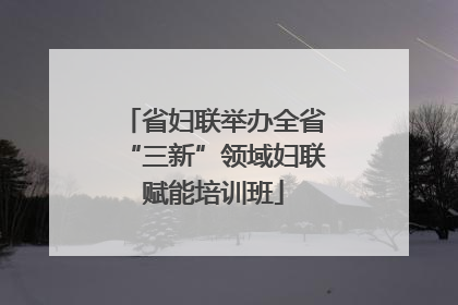 省妇联举办全省“三新”领域妇联赋能培训班