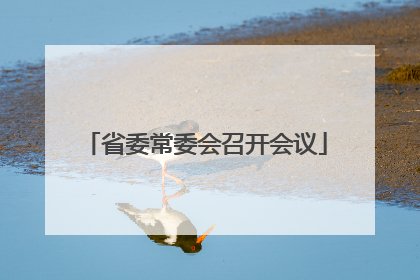 省委常委会召开会议