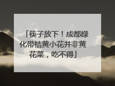 筷子放下！成都绿化带桔黄小花并非黄花菜，吃不得