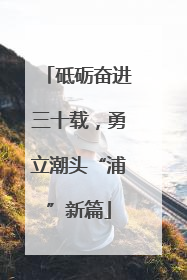 砥砺奋进三十载，勇立潮头“浦”新篇