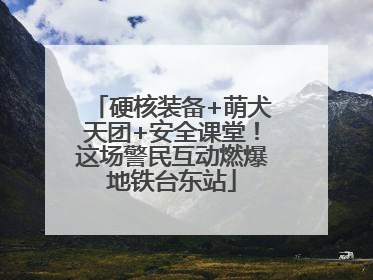 硬核装备+萌犬天团+安全课堂！这场警民互动燃爆地铁台东站