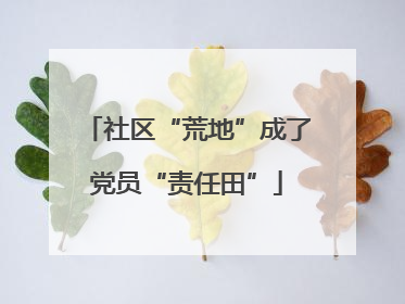 社区“荒地”成了党员“责任田”