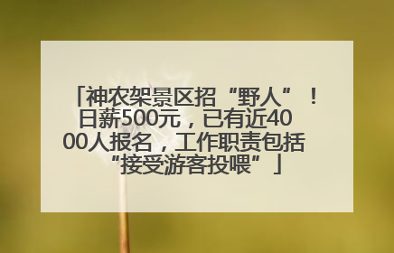 神农架景区招“野人”！日薪500元，已有近4000人报名，工作职责包括“接受游客投喂”
