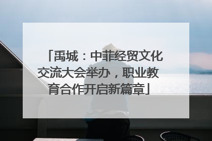 禹城：中菲经贸文化交流大会举办，职业教育合作开启新篇章