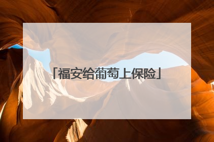 福安给葡萄上保险